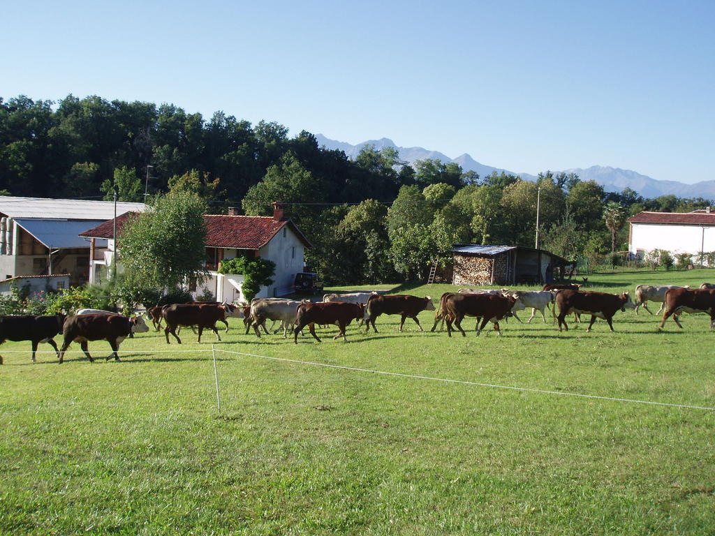 Bed and Breakfast La Pepanella Magnano  Экстерьер фото